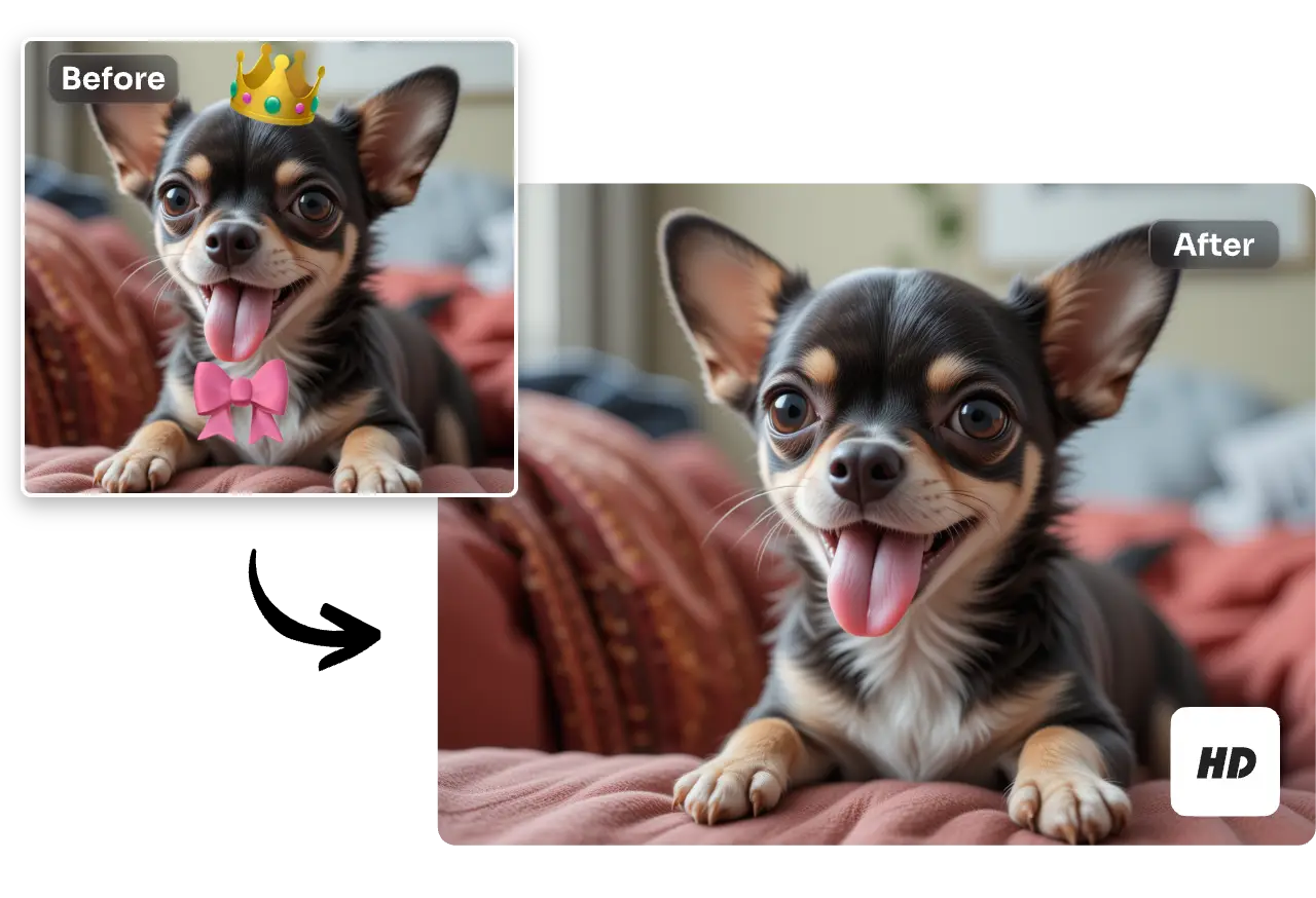 Dog photo before and after removing crown and bow stickers
